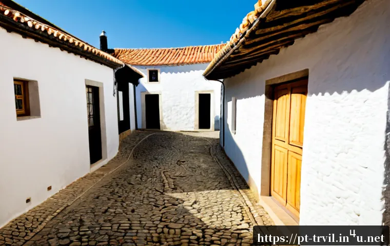 Home 17 전통주택에 필요한 시공법 - Photorealistic architectural construction scene in rural Portugal, skilled builders restoring a trad...